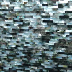 Madreperla nera