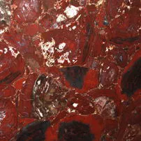 Red Petrified Wood
