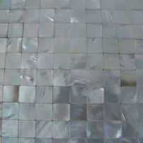 White mother of pearl on net