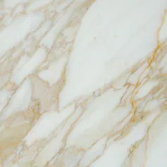 Calacatta Gold