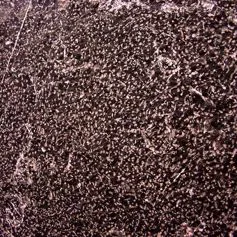 Marmo Nero marquina Bocciardato