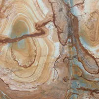 Stone Wood Tai dai