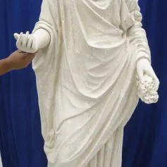 Musa della vita