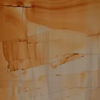 Teak Wood