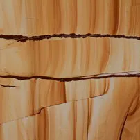 Teak Wood