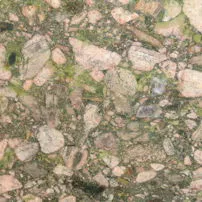 Marinace green