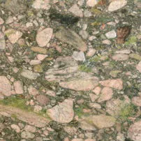 Marinace green