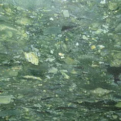 Oasis green
