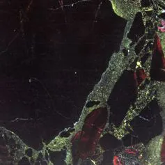 Black beauty granite
