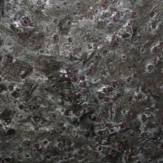 Meteorus