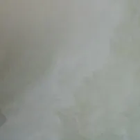 Onice Bianco
