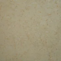New Cream