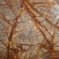 Forest Brown