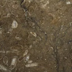 Rasotica Marble