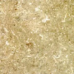 Vicenza grey stone