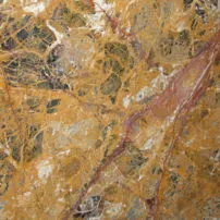 Breche meduse