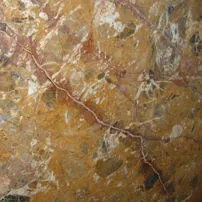 Breche meduse