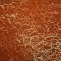 Red Onyx