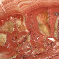 Red Onyx Wonder