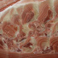 Red Onyx Wonder