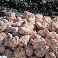 Tumbled pebbles of Rosso Asiago marble