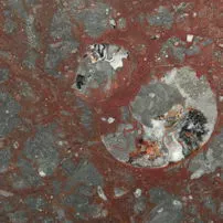 Fossile Red