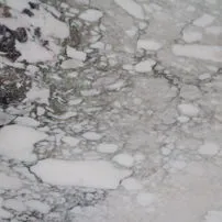 Breccia Capraia