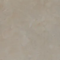 Beige thala