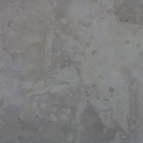 Beige thala