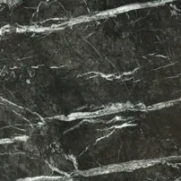 Grigio carnico