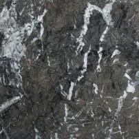 Grigio carnico