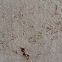 Flamed Trani Marble