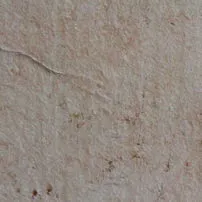 Flamed Trani Marble