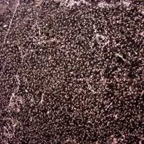 Bush-hammered Black Marquina Marble