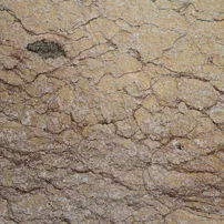 Flamed Chiampo Marble