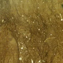 Marmo Ebano