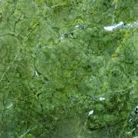 Granito Goldoro Musk