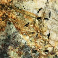 Buzjos Granite