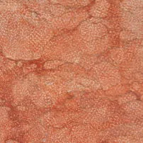 Grollato marble processing