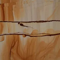 Teak Wood