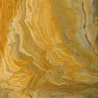 Yellow Bamboo