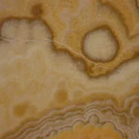 Onyx Honey IBIS