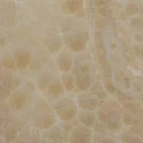 Onice Ivory