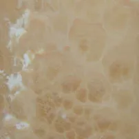 Onice Ivory