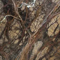 Forest Brown