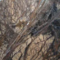 Forest Brown