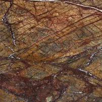 Forest Brown