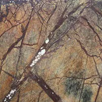 Forest Brown