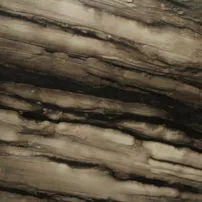 Sequoia