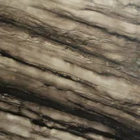Sequoia